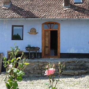 فندق Casa Cizmarului - Saschiz 364 Exterior photo