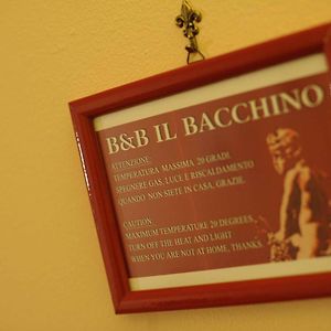 B&B Il Bacchino براتو Exterior photo