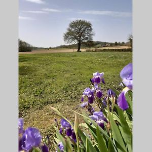 فيلا Gite Du Clos Baste Moncaup  Exterior photo