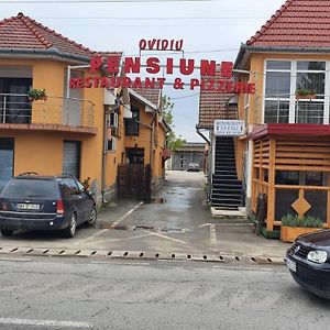 Pensiune Restaurant Ovidiu Valea lui Mihai Exterior photo