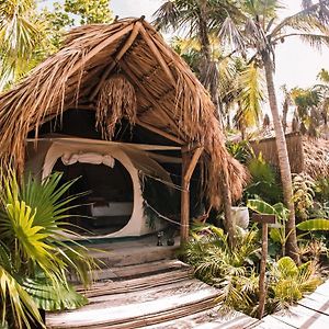 فندق Uman Glamping & Cenote تولوم Exterior photo