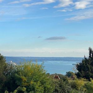 شقة La Garconnierre Del Lago Maggiore Nebbiuno Exterior photo