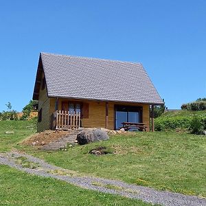 فيلا Chalet Sancy Saint-Genès-Champespe Exterior photo