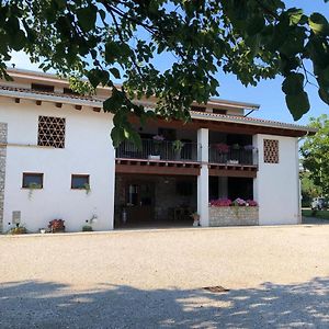 مبيت وإفطار Premariacco Agriturismo Antica Corte Contadina Exterior photo