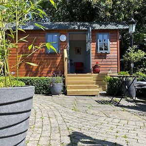 فيلا Holly Hut Shepherds Hut Jenkinstown Park Exterior photo