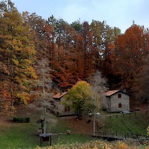 شقة Agriturismo Il Canale Corfino Exterior photo