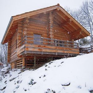 فيلا Chalet Bois Chaleureux Avec Terrasse, Internet Et Animaux Acceptes - Fr-1-496-187 Saint-Martin-la-Sauvete Exterior photo