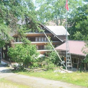 فندق Gasthaus Bad - Hemberg Exterior photo