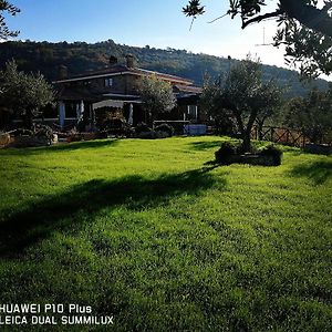 فيلا La Collina Dei Goti Agriturismo ,Azienda Agricola Cerreta  Exterior photo