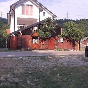 فندق Căpăţîneni-Ungureniفي  Casa Denisa Vidraru Transfgarasan Exterior photo
