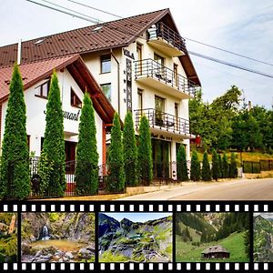 فندق Curtea de Argeşفي  Vila Swe Sar Exterior photo