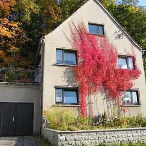 فيلا Unser Ferienhaus Ebersbach-Neugersdorf Exterior photo