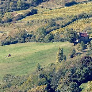 فيلا Les Billardes - Le Gite - Jura Gizia Exterior photo