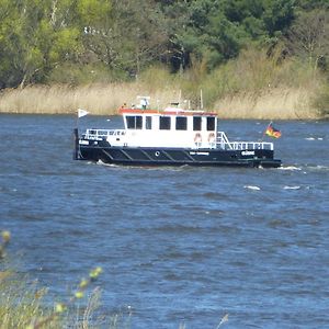 شقة Elbe Ferien Marschacht Exterior photo