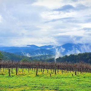 فيلا Kinam Vinea - A Vineyard Farmhouse In The Yarra Valley Gladysdale Exterior photo