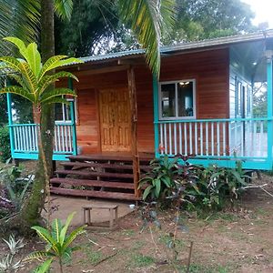 فيلا بوكاس تاونفي The Bamboo House Exterior photo