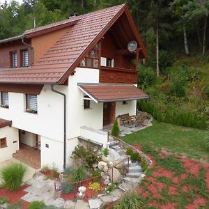 فيلا Ambiente Chalet Julienhoehe Niederdorf  Exterior photo