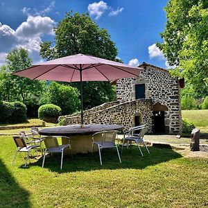 مبيت وإفطار Cussac-sur-Loire Domaine De La Planche De Melussac Exterior photo