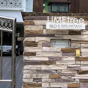 كُوالا تيرينغانو Limetree B&B Exterior photo