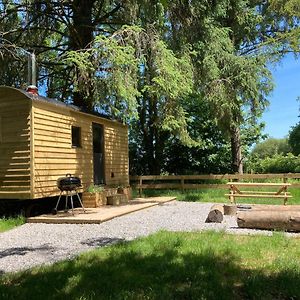 فندق Swaledale Shepherd'S Hut نيوتن أبوت Exterior photo