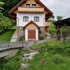 فيلا Possnitzفي Bioferienhaus Muster - Dominkusch Exterior photo