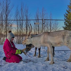 فيلا Beautiful Rural Experience With Reindeer Tervola Exterior photo