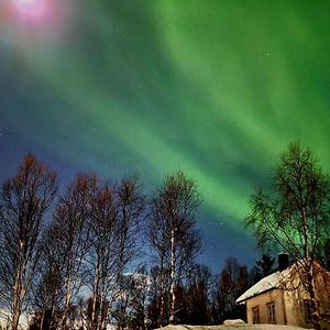 فيلا Cabin Magic On Senja, Atmosphere Like A Fairytale Botnhamn Exterior photo