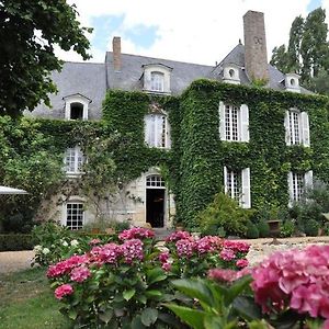 فندق La Marronniere Cheffes-sur-Sarthe Exterior photo