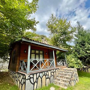 فندق Delightful Bungalow Surrounded By Nature In Karamursel, Kocaeli Exterior photo