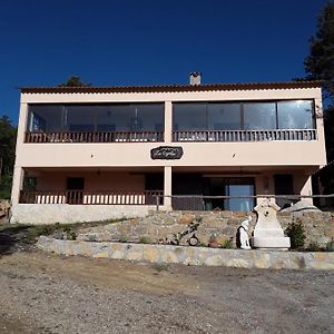 فندق Gite Les Cigales Chateauvieux  Exterior photo