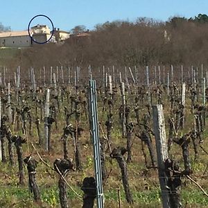 شقة Superbe Gite A La Campagne Dans Le Bordelais Saint-Vivien-de-Blaye Exterior photo