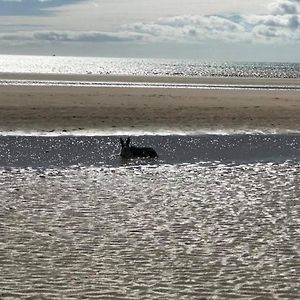 فيلا The Sun Trap @ Bridlington'S Bed & Bowl Beach Breaks Exterior photo