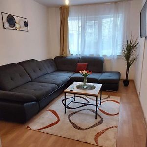 شقة Apartament Dania & Petru Tîrgu Ocna Exterior photo