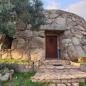 Oschiri Il Nuraghe Del Lago Coghinas Exterior photo