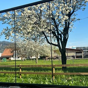 شقة Natur Pur & Erlebnisurlaub Im Spiegelhaus Oeoed لاوتيراخ Exterior photo