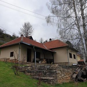 فيلا كرالييفوفي Kuca Za Odmor - Martic, Rudno, Golija Exterior photo