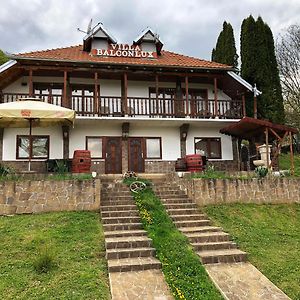 Villa Balconlux - Zavojsko Jezero, بايرت Exterior photo