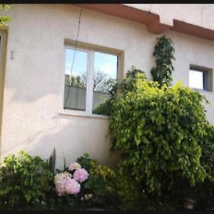 Wib Guesthouse أديس أبابا Exterior photo