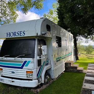 فيلا Dobbin The Horse Box In The Lake District كوكيرماوث Exterior photo