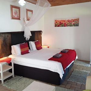 كوفي باي Geckos B&B And Self-Catering Exterior photo