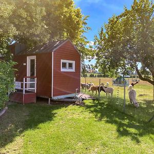 فيلا Tiny House Auf Der Alpaka Farm Rubkow Exterior photo