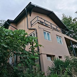 فندق Orşovaفي  Casa Ema Exterior photo