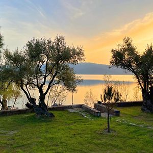 فيلا Seafront Traditional Stone House In Sunset Olive Grove - B Alyfanta Exterior photo