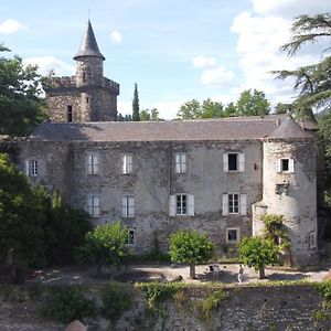 Saint-Etienne-Vallee-Francaise Le Chateau De Cambiaire Exterior photo