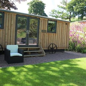 Llanfyllin Little Acorn - Luxury Shepherd'S Hut / Lodge With Private Hot Tub And Garden Exterior photo