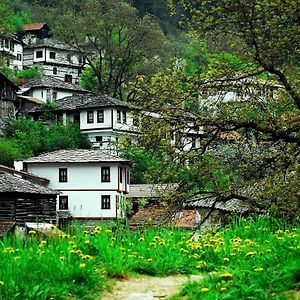 فيلا Yakusha - Якуша, Къща За Гости Shiroka Lŭka Exterior photo