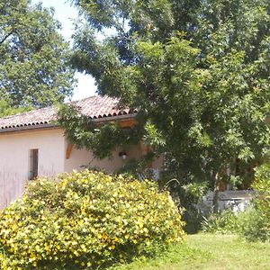 فيلا Maison De Vacances De Recailleau Nérac Exterior photo