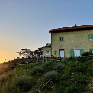 فيلا Agriturismo Cascina Cornelli ساسيلو Exterior photo