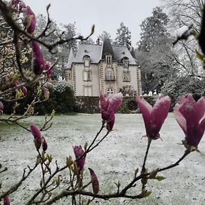 مبيت وإفطار Saint-Léonard-de-Noblat Chateau Maleplane Exterior photo