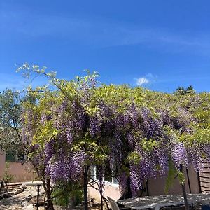 مبيت وإفطار Sainte-Croix-de-Quintillargues Le Clos Des Olivettes Exterior photo